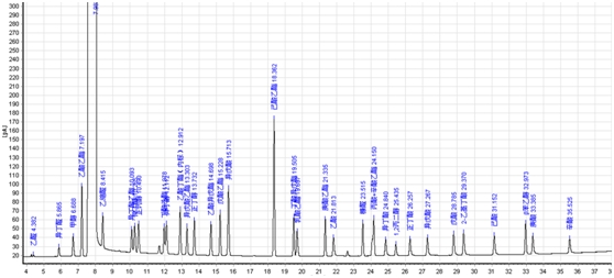 白酒分析专用柱